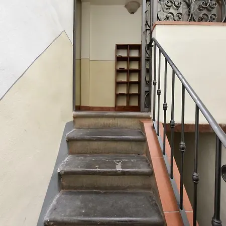 Piccolo Iris Florencie