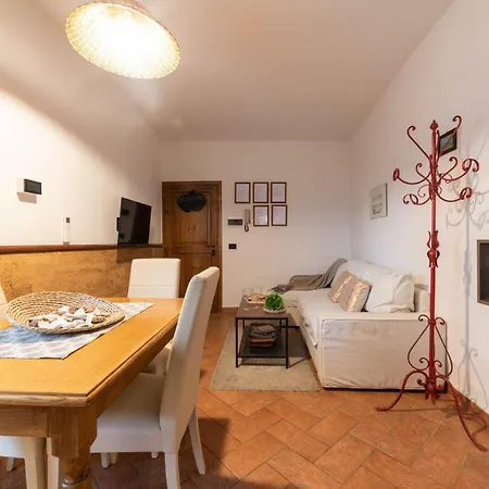 Piccolo Iris * Florence